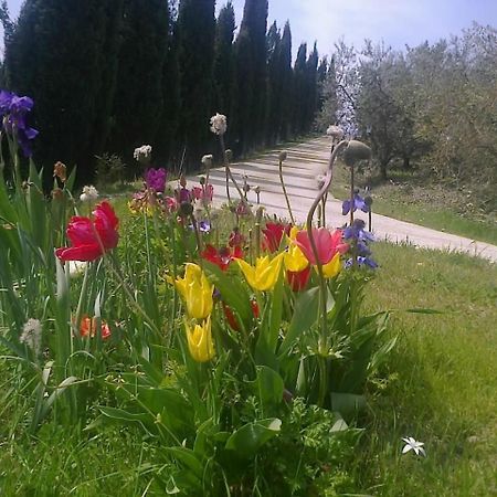 Residence Ai Campi Da Golf Saturnia Bagian luar foto