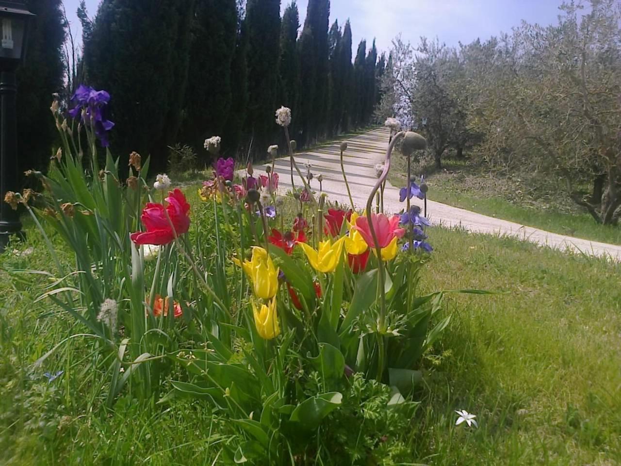 Residence Ai Campi Da Golf Saturnia Bagian luar foto