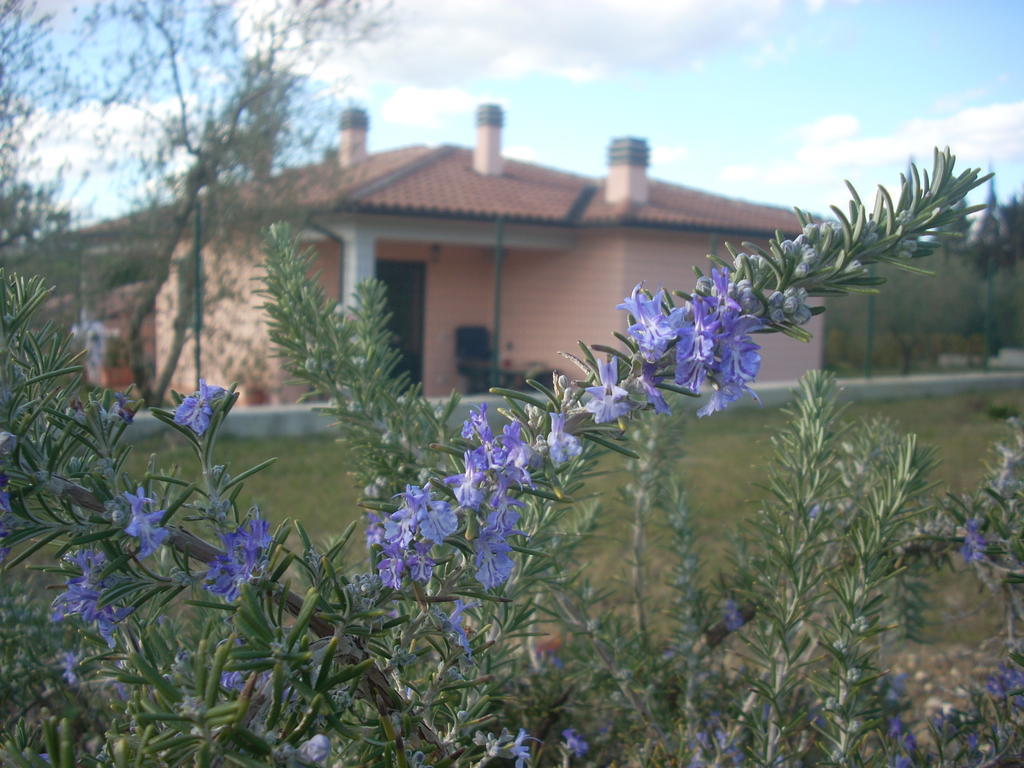 Residence Ai Campi Da Golf Saturnia Ruang foto