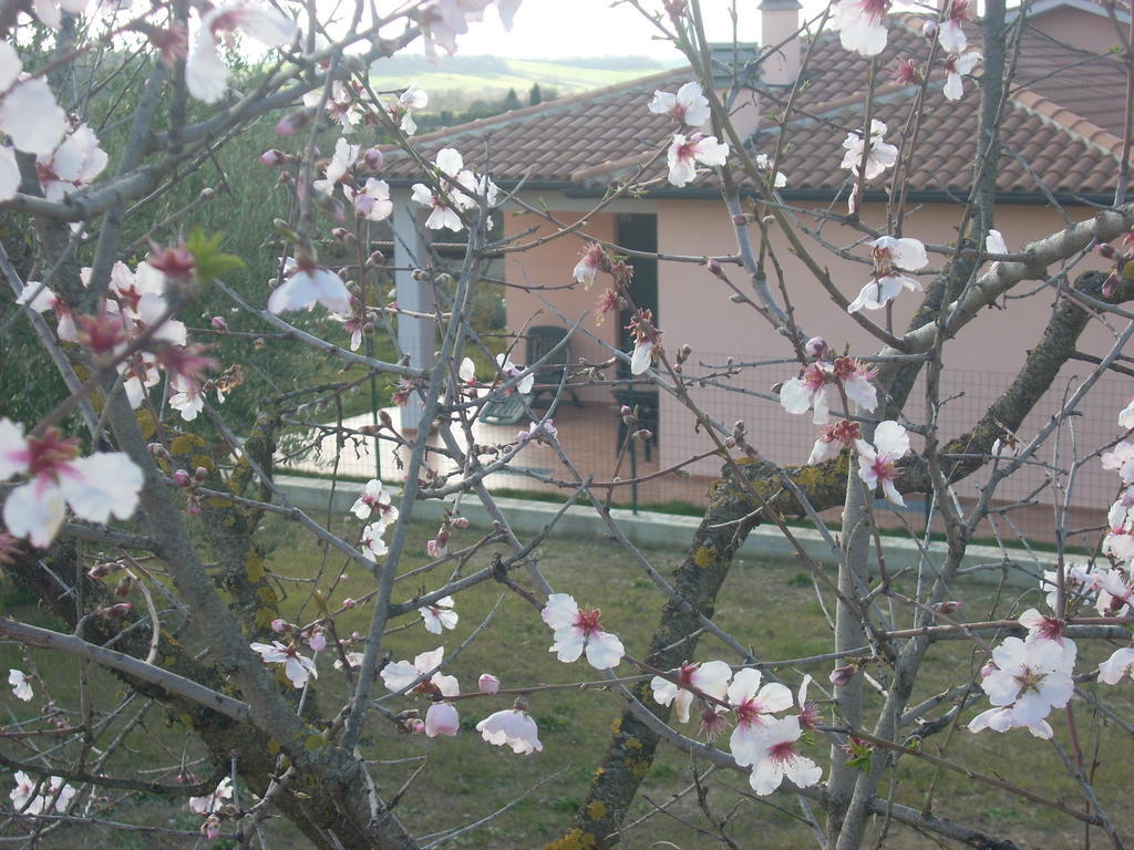 Residence Ai Campi Da Golf Saturnia Bagian luar foto