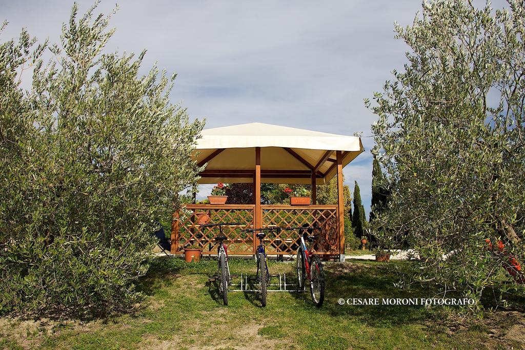 Residence Ai Campi Da Golf Saturnia Ruang foto