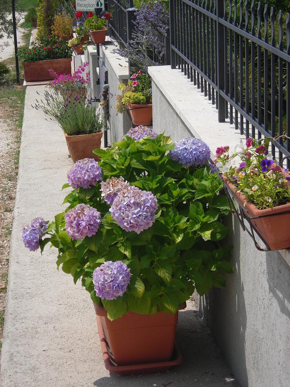 Residence Ai Campi Da Golf Saturnia Ruang foto