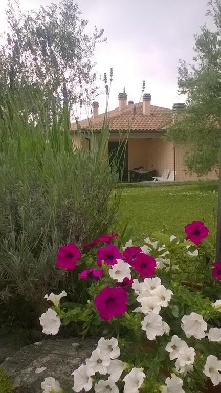 Residence Ai Campi Da Golf Saturnia Bagian luar foto