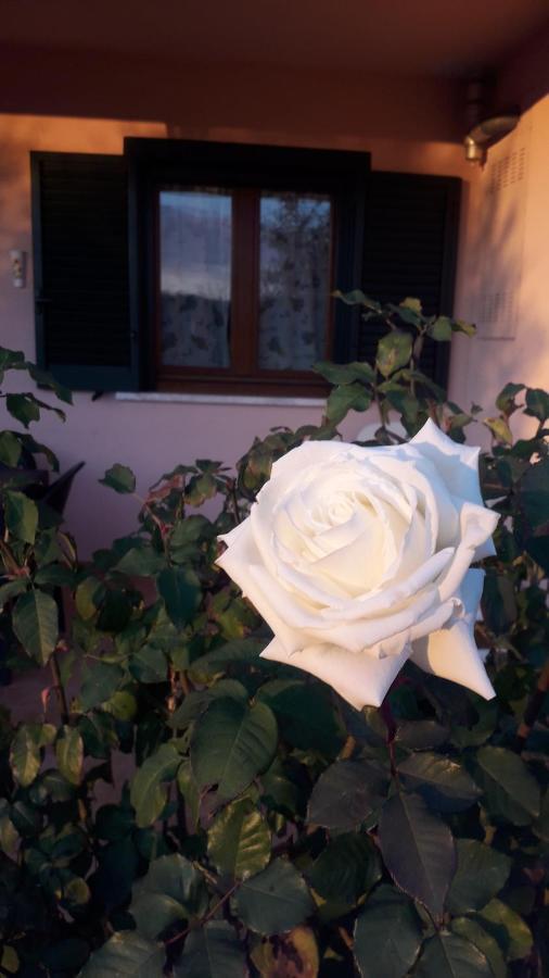 Residence Ai Campi Da Golf Saturnia Bagian luar foto