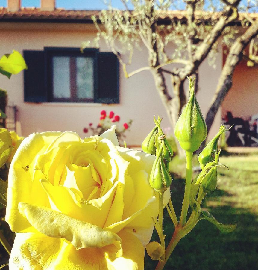 Residence Ai Campi Da Golf Saturnia Bagian luar foto